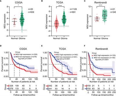 MD2 Is a Potential Biomarker Associated with Immune Cell Infiltration in Gliomas